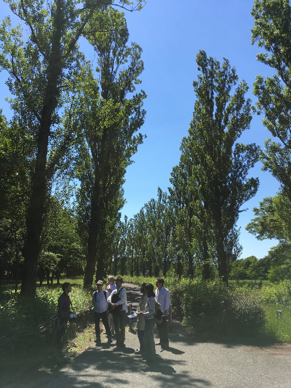 ホロホロ日記 555nat.com 555blog 水元公園 放射能調査 ホットスポット ワークショップ HIT 2018