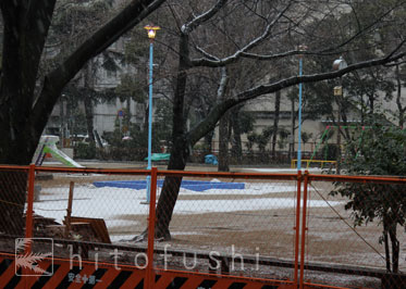 公園の雪