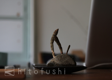 つくし