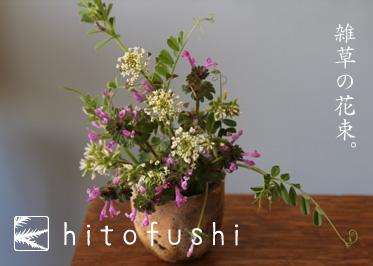 雑草の花
