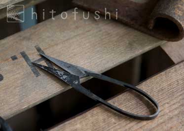 TAjiKA/にぎりはさみ HARB SHEARS