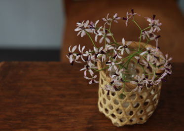 栴檀の花