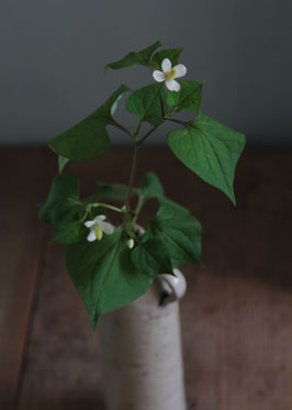 床のお花