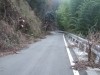 林道1