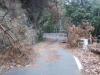 林道2