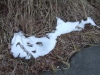 林道雪