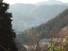 林道中庄景色