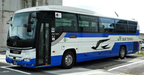 Tomoki _ERGA | 2024.11.11 とさでん交通 161【元高知県交通