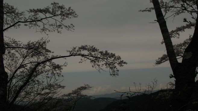 意識してこんな写真になったんじゃありません 単に設定がおかしいだけ ^^;