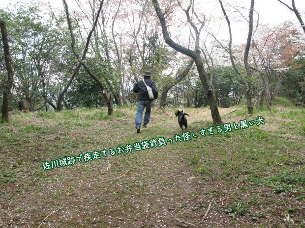 武将が写ってなくてほんとよかった ^^;