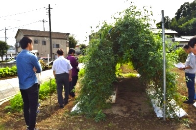 ミニトマトソバージュ栽培 アスパラガス採りっきり栽培 多摩市の農産物応援サイト Agri Agri ブログ