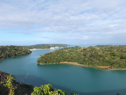 s-DSCF0970.jpg