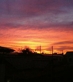 秋の夕暮れ