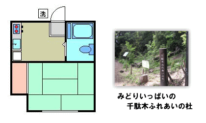 【文京区千駄木】一転して環境のいい立地の格安アパート