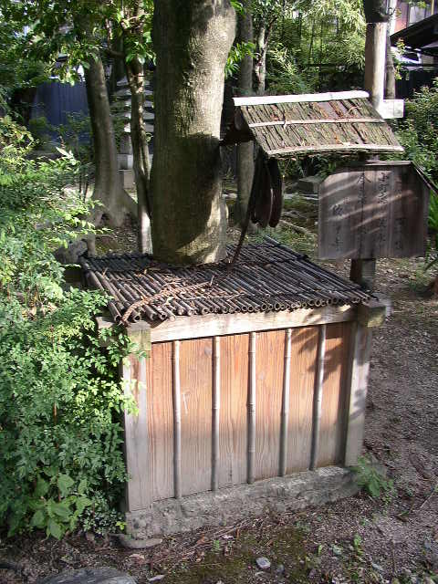 井戸
