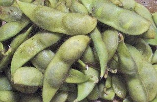 瑞穂の黒豆の枝豆