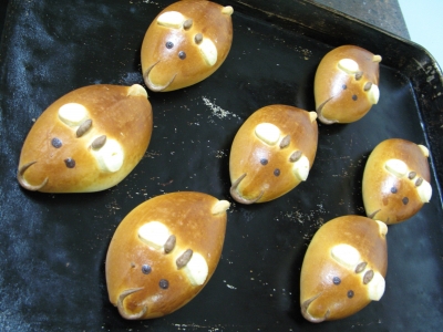 モウ-モ-クリームパン焼きあがり