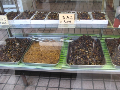 もろこ