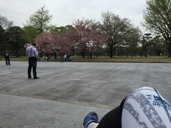 バイシクルライド2015in東京