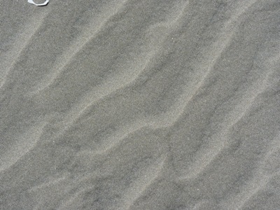 b140413_7.JPG