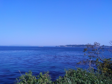猿島からの景色