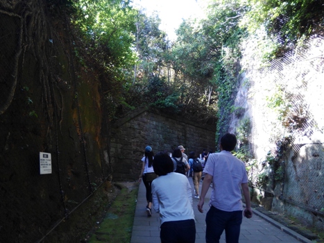 猿島