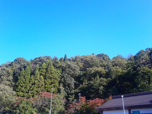 20191109_2942790.jpg
