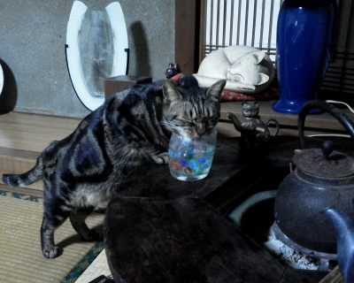 さんた