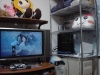引っ越し後のテレビ周り