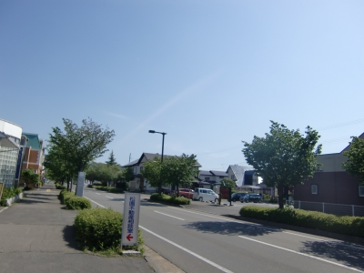 CIMG0008.JPG