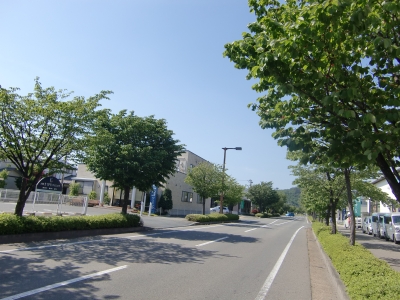 CIMG0010.JPG