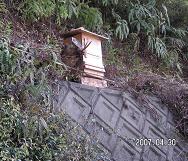 蜂の巣箱