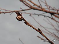 散歩5