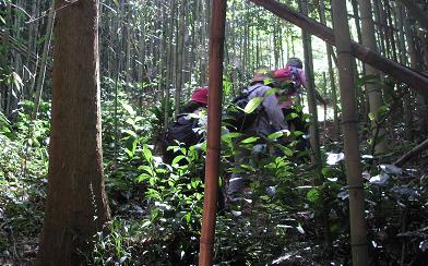 山登り