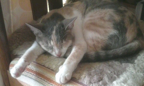2010070308150000.jpg