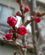 090301_0918~01.JPG