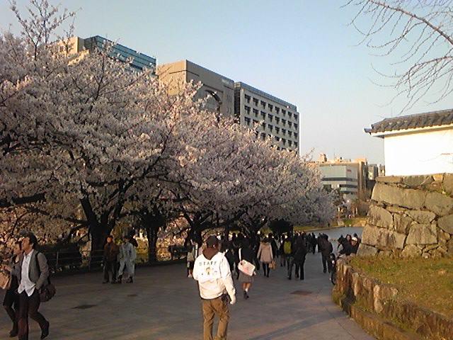 100328_172624_ed.jpg
