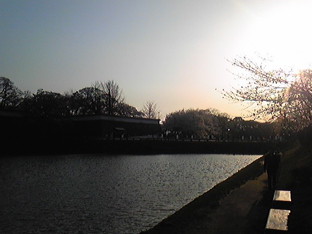 100328_172358_ed.jpg