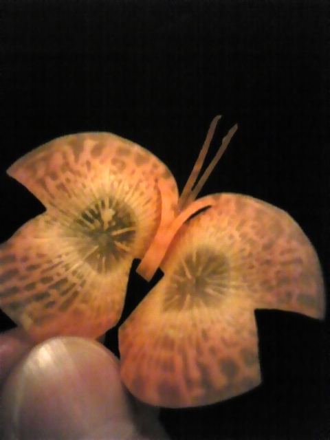 100404_013614.jpg