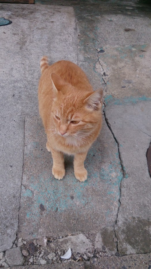 DSC_1515.jpg
