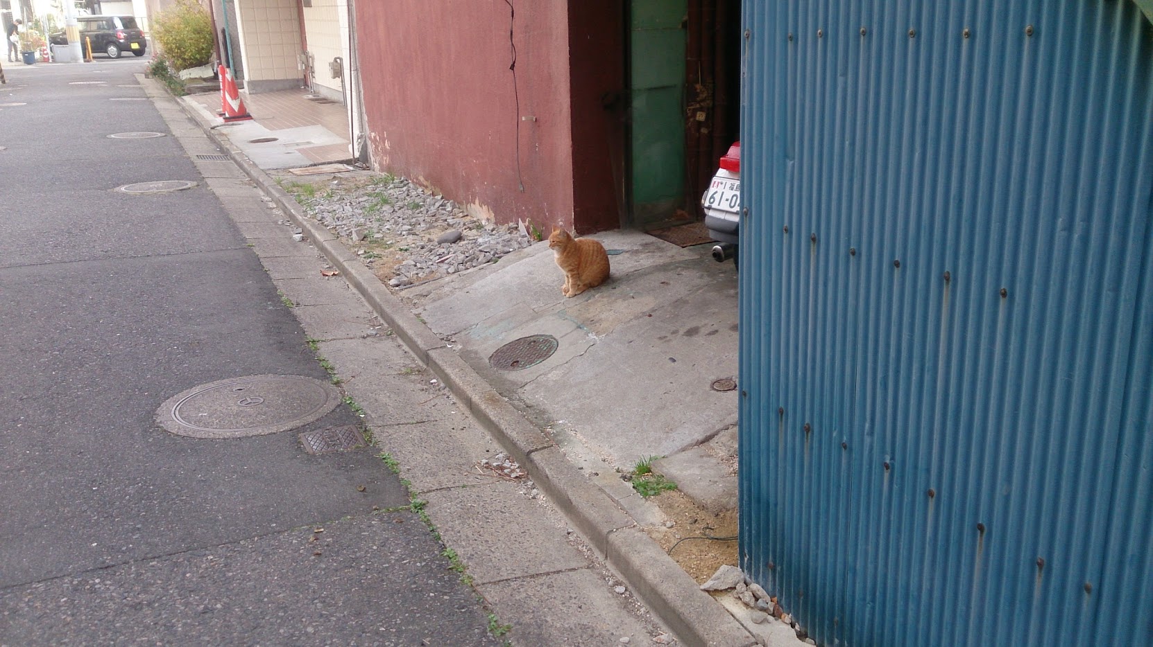 DSC_1518.jpg