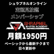 SHRAPNEL ONLINE