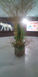 20100406183936.jpg