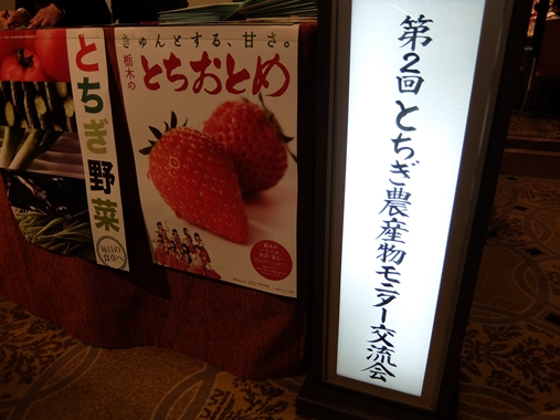 DSCF0363_R.JPG