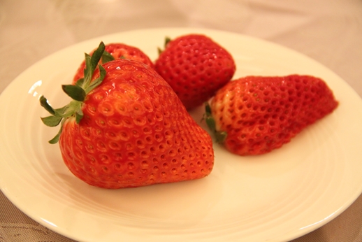 IMG_4668_R.JPG