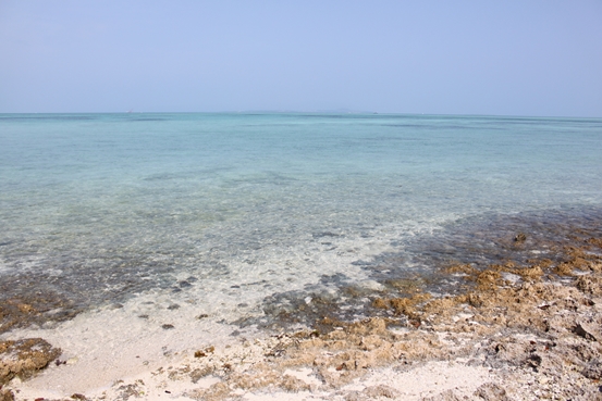 IMG_6761_R.JPG