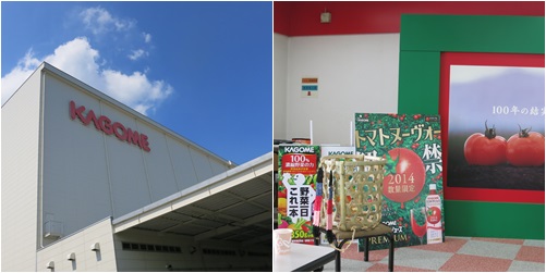 カゴメ2.jpg