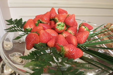 IMG_6810_R.JPG