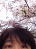 花見