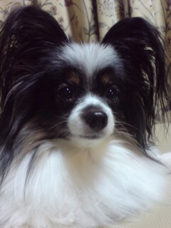 20130309230239.jpg